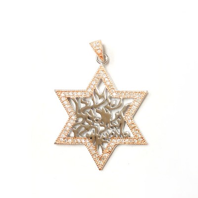 Sterling Silver Pendant Shema Star with Clear Cubic Zirconia -Rh+Rose-