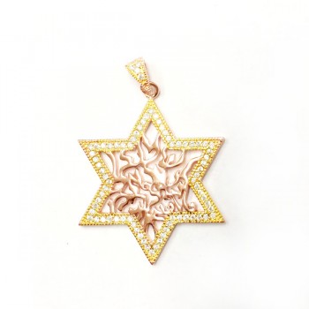 Sterling Silver Pendant Shema Star with Clear Cubic Zirconia -Rose+Gold-