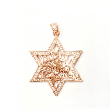 Sterling Silver Pendant Shema Star with Clear Cubic Zirconia -Rose+Rose-